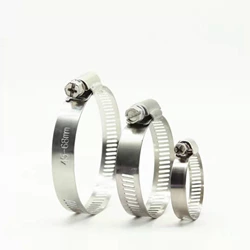 Stainless Steel Miniature Worm Gear Hose Clamp