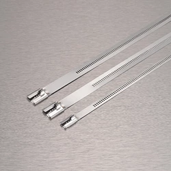 Ladder Type Stainless Steel Cable Ties