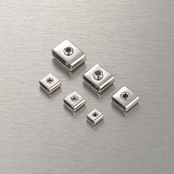 Stainless Steel Screw Buckles