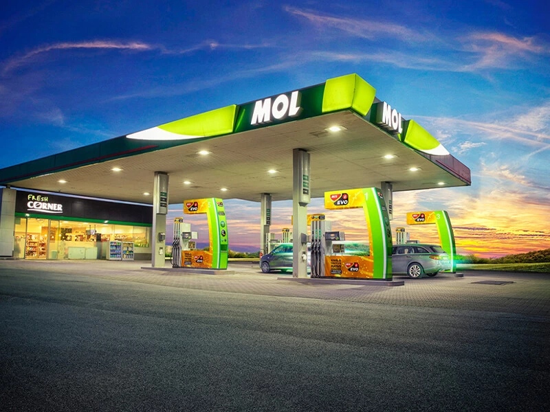 Company Overview: Excellence in Technology, Crafting an Outstanding Brand